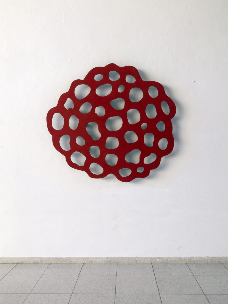 lost in transition | PYTHONGALLERY